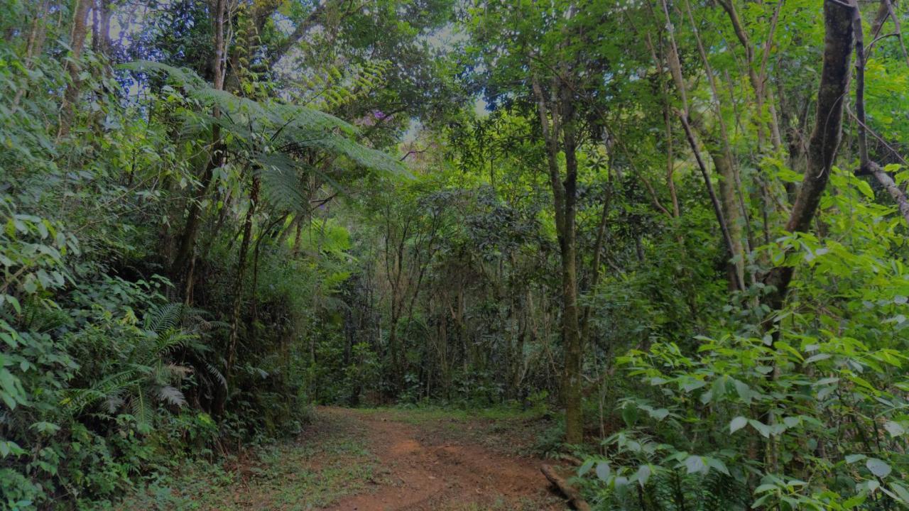 Pousada Alpes Santo Antônio do Pinhal Exterior foto